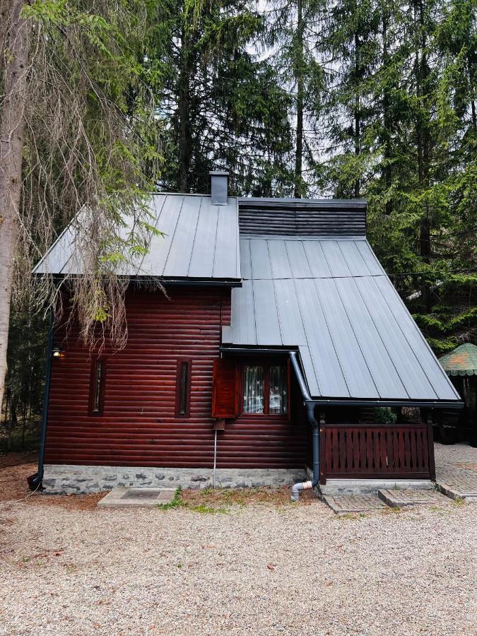 Cabana Adrienne Izvoru Mureşului Exteriör bild