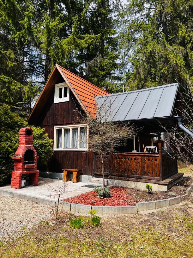 Cabana Adrienne Izvoru Mureşului Exteriör bild