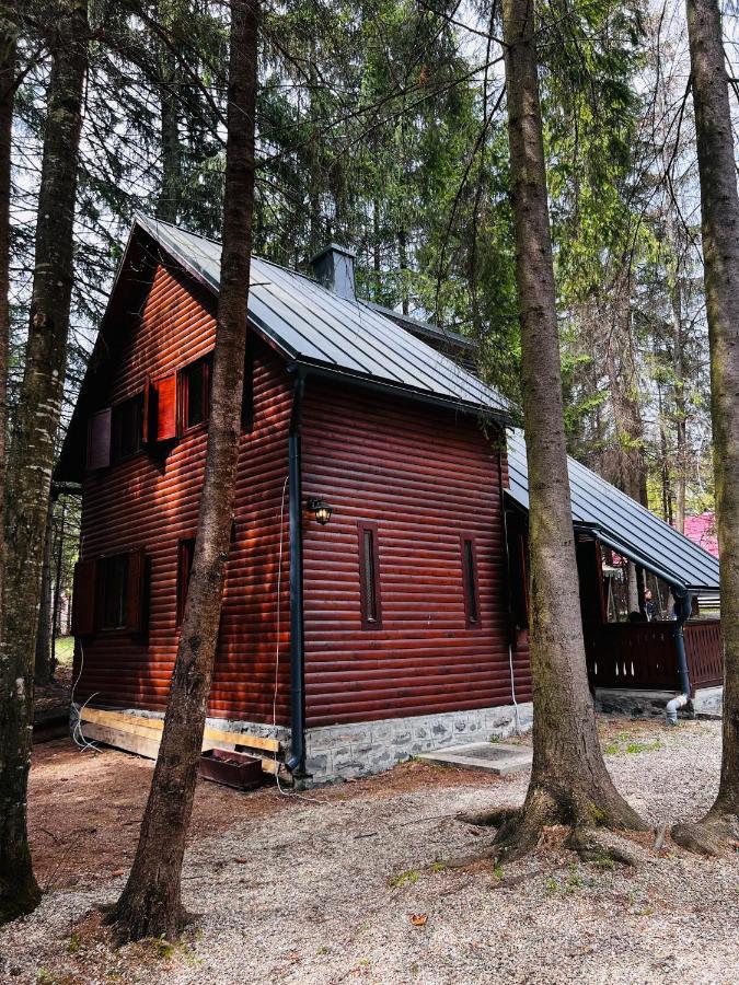 Cabana Adrienne Izvoru Mureşului Exteriör bild