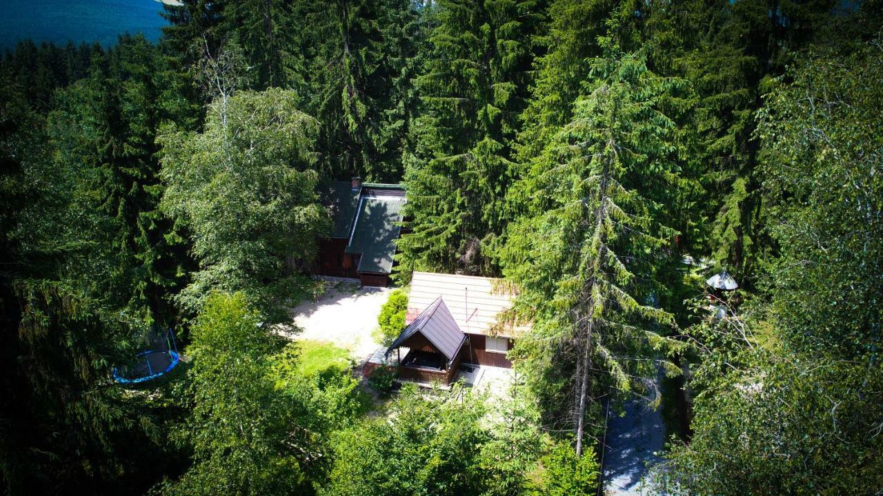 Cabana Adrienne Izvoru Mureşului Exteriör bild